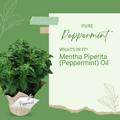 Pure Peppermint Essential Oil 0.5 OZ. ( 15 mL )